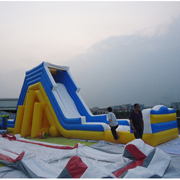 adult giant slides